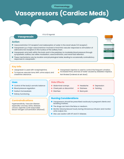 Nursing School E-Book (985 Pages of Nursing Fundamentals)