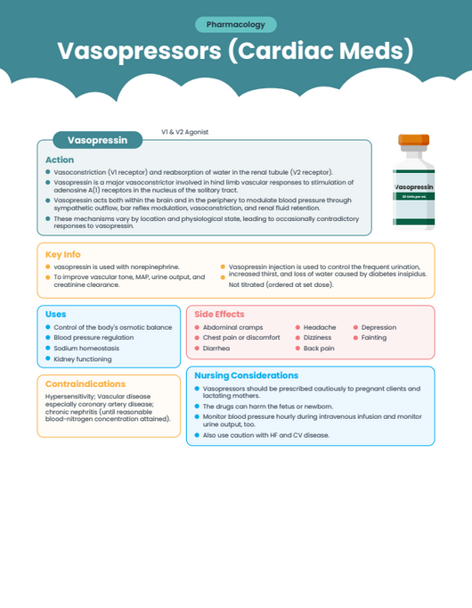 Nursing School E-Book (985 Pages of Nursing Fundamentals)