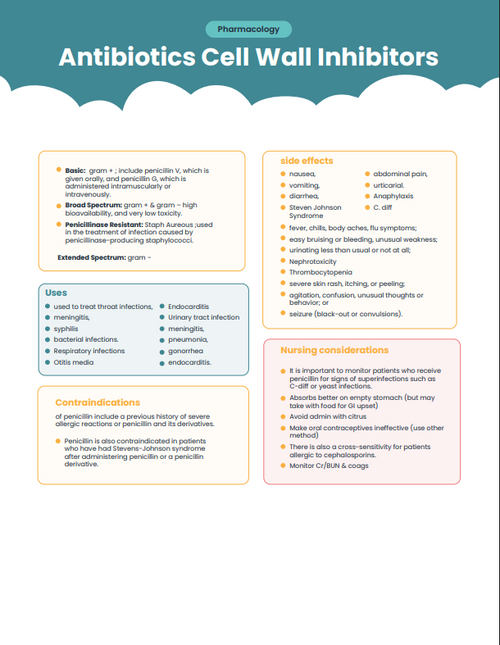 Nursing School E-Book (985 Pages of Nursing Fundamentals)