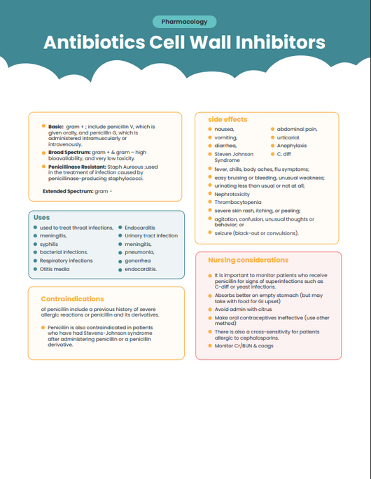 Nursing School E-Book (985 Pages of Nursing Fundamentals)